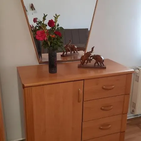 Appartamento Royal Rose Smestaj Bela Crkva (Banat)